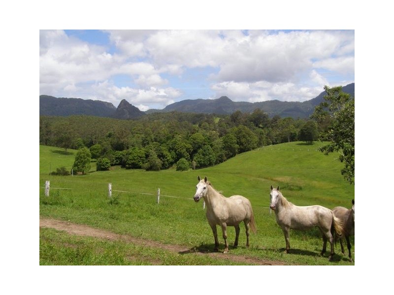571 Doon Doon Road, Doon Doon, Murwillumbah NSW 2484