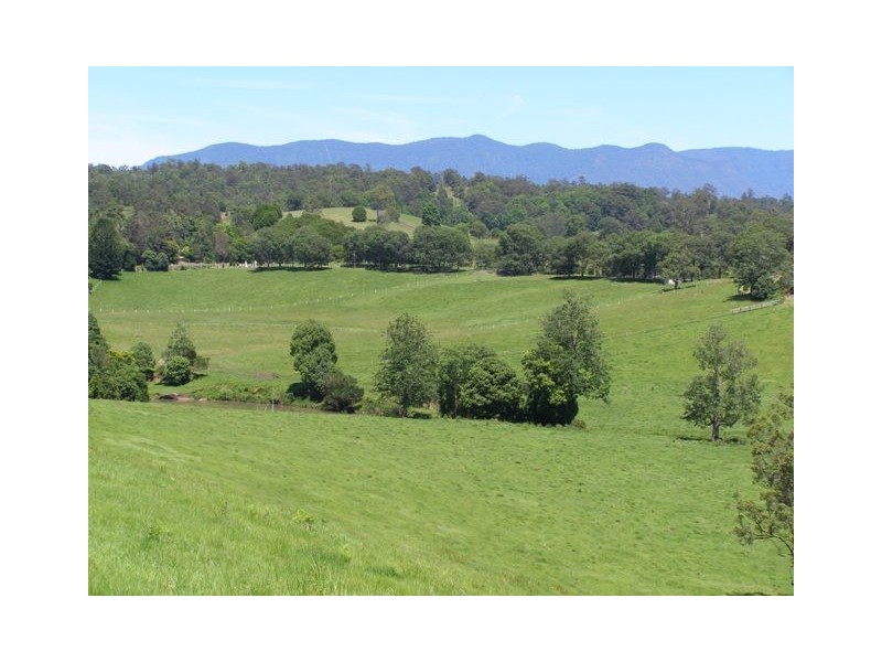 571 Doon Doon Road, Doon Doon, Murwillumbah NSW 2484