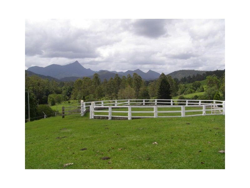 571 Doon Doon Road, Doon Doon, Murwillumbah NSW 2484