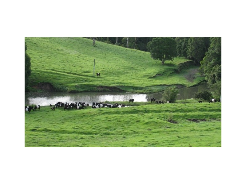 571 Doon Doon Road, Doon Doon, Murwillumbah NSW 2484