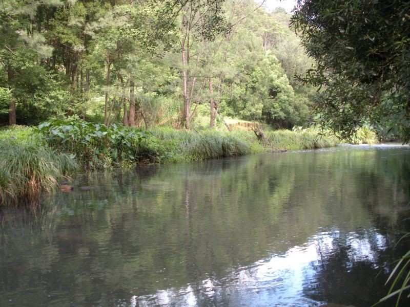 1427 Numinbah Road, Chillingham NSW 2484