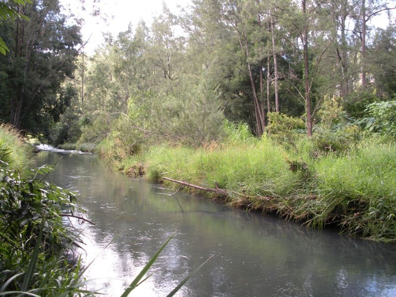 1427 Numinbah Road, Chillingham NSW 2484