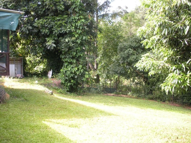 1427 Numinbah Road, Chillingham NSW 2484