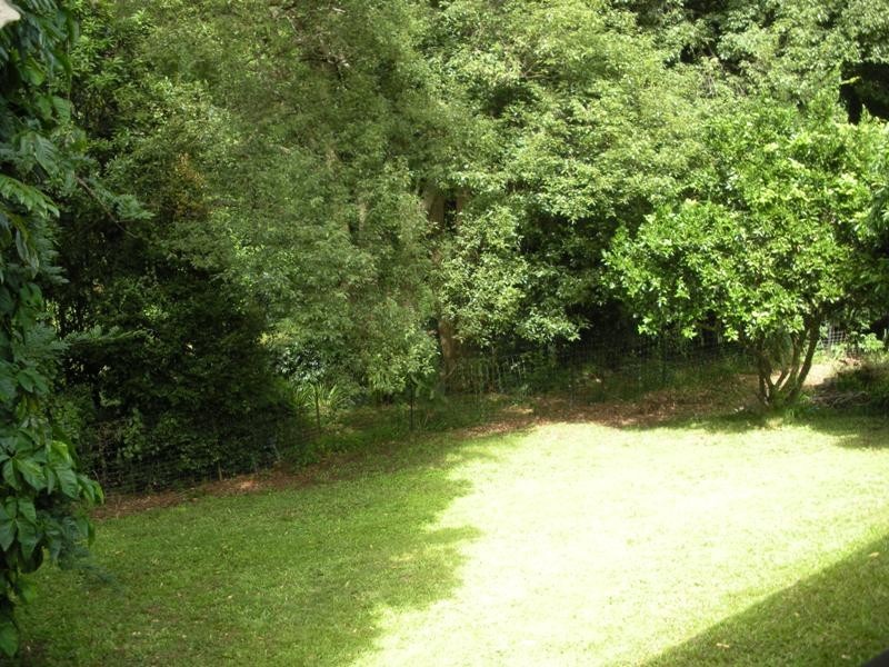 1427 Numinbah Road, Chillingham NSW 2484