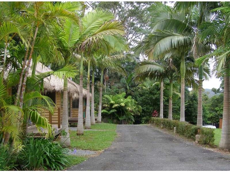 8 Garden of Eden Road, Tomewin, Murwillumbah NSW 2484