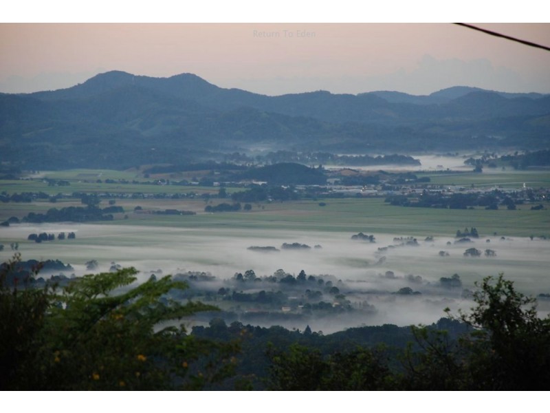 8 Garden of Eden Road, Tomewin, Murwillumbah NSW 2484