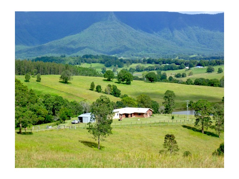 24 Tyalgum Ridge Road, Tyalgum NSW 2484