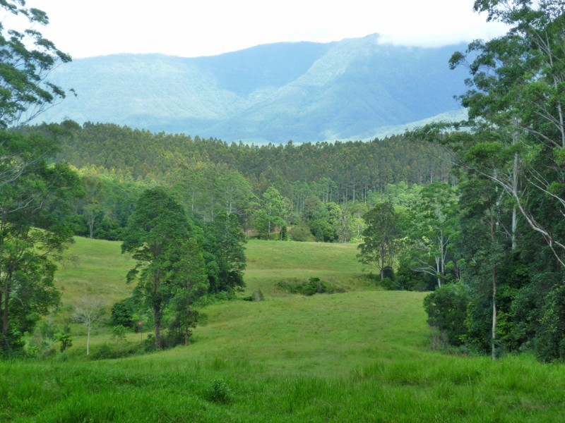 24 Tyalgum Ridge Road, Tyalgum NSW 2484