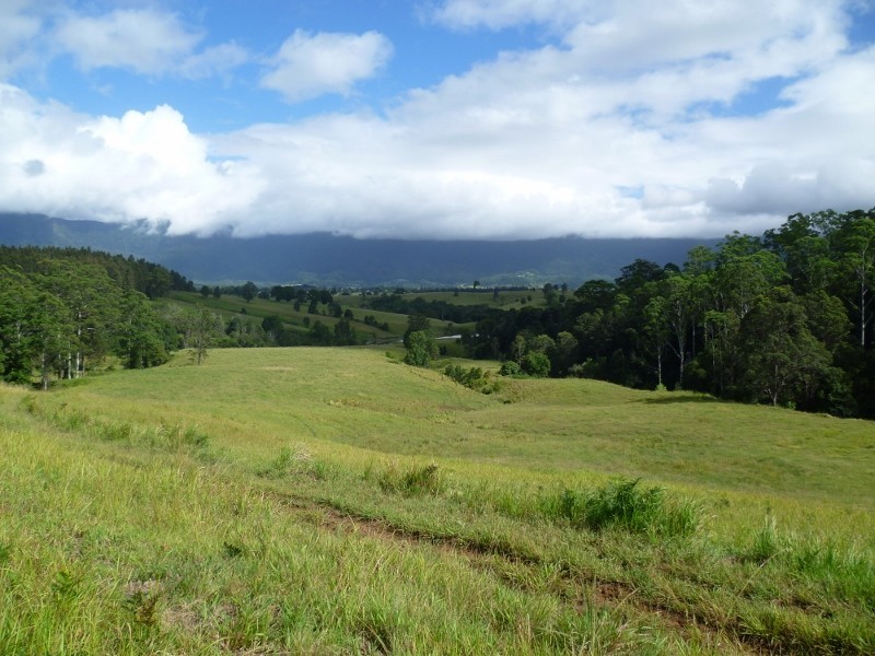 24 Tyalgum Ridge Road, Tyalgum NSW 2484