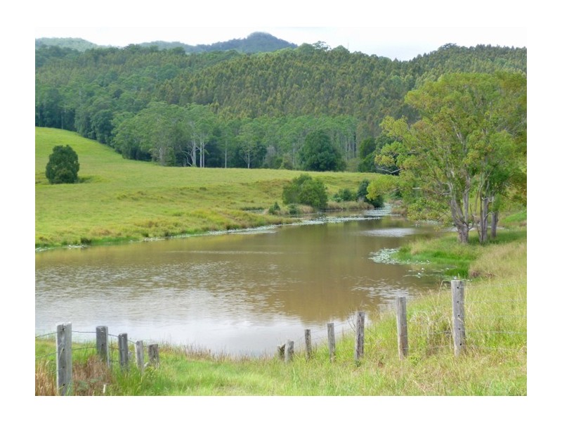 24 Tyalgum Ridge Road, Tyalgum NSW 2484