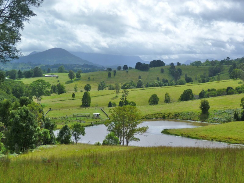 24 Tyalgum Ridge Road, Tyalgum NSW 2484