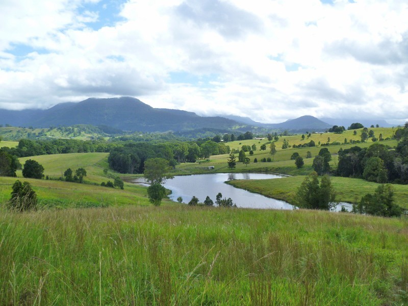 24 Tyalgum Ridge Road, Tyalgum NSW 2484