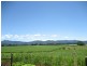 159 Murwillumbah Street, Murwillumbah NSW 2484