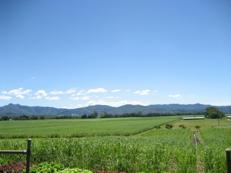 159 Murwillumbah Street, Murwillumbah NSW 2484