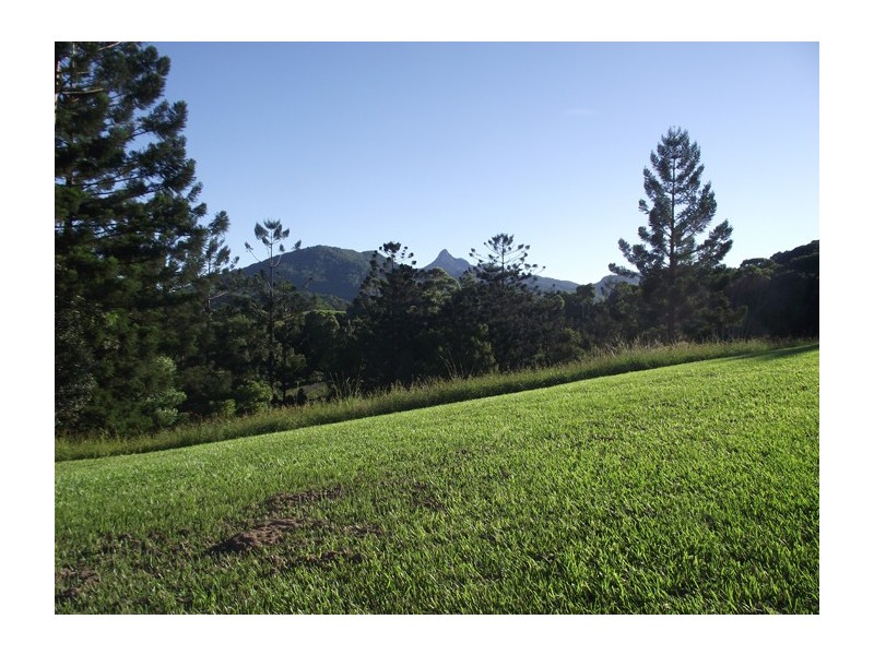 224 Tyalgum Road, Murwillumbah NSW 2484