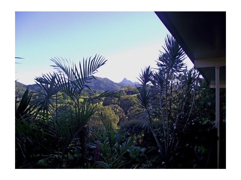 224 Tyalgum Road, Murwillumbah NSW 2484