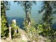 439 Tweed Valley Way, Murwillumbah NSW 2484