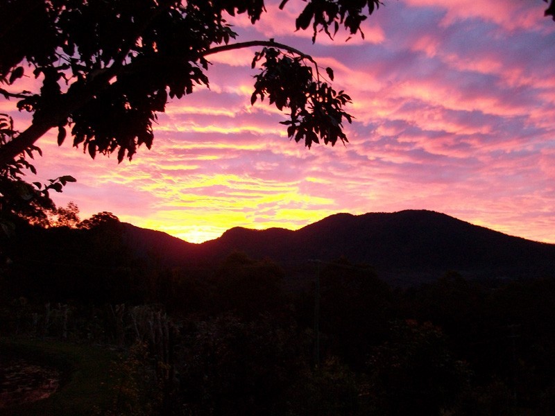 88 Bonnydoon Road, Uki NSW 2484