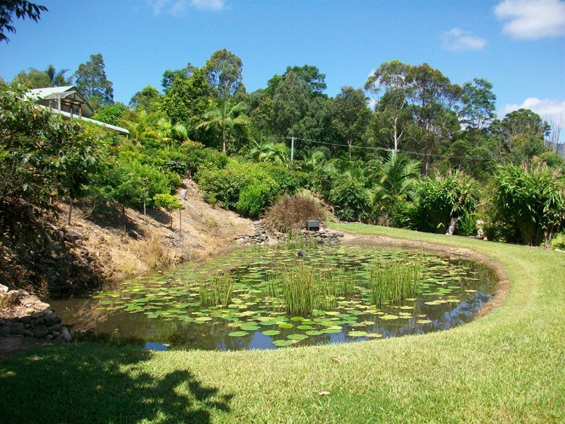 88 Bonnydoon Road, Uki NSW 2484