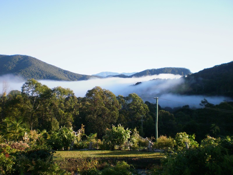 88 Bonnydoon Road, Uki NSW 2484