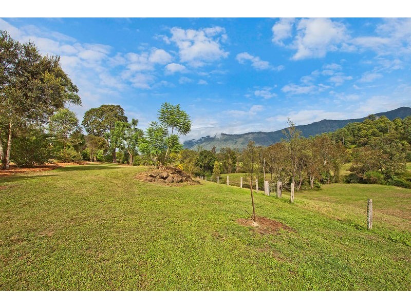 698 Brays Creek Road, Tyalgum NSW 2484
