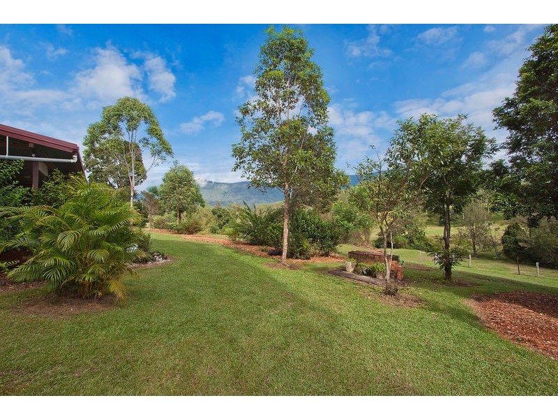 698 Brays Creek Road, Tyalgum NSW 2484