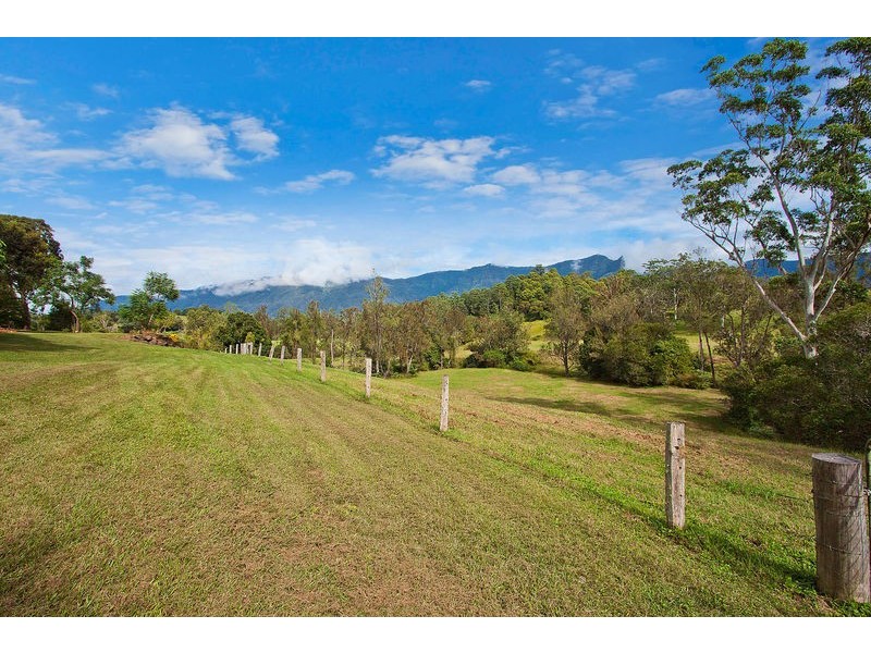 698 Brays Creek Road, Tyalgum NSW 2484