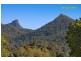 1501 Kyogle Road, Uki NSW 2484