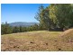 1501 Kyogle Road, Uki NSW 2484