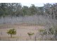 105 Wockner Road, Hampton QLD 4352
