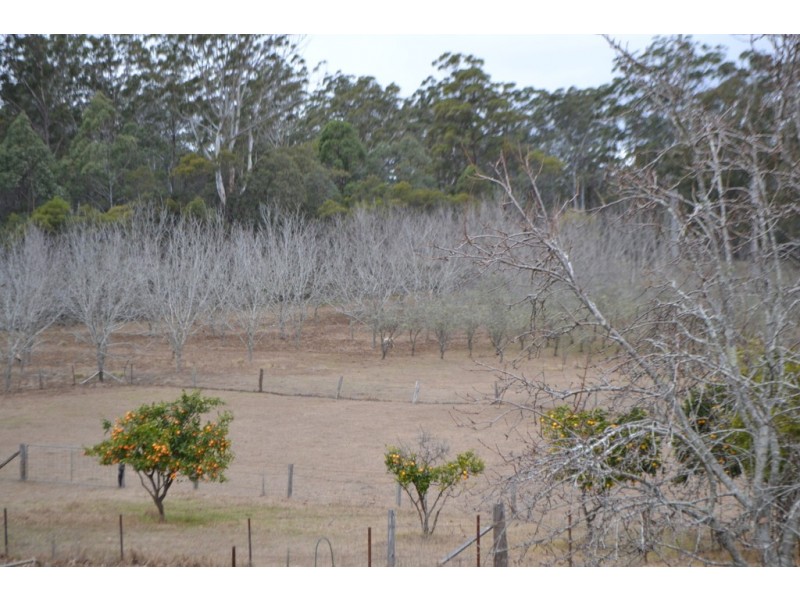 105 Wockner Road, Hampton QLD 4352