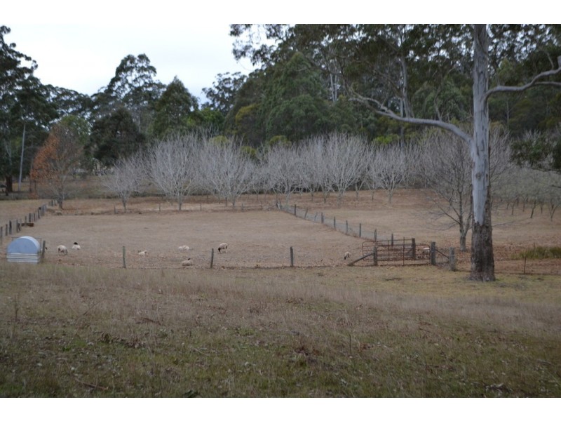 105 Wockner Road, Hampton QLD 4352
