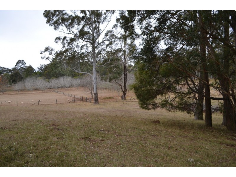 105 Wockner Road, Hampton QLD 4352