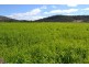 442 O’Connor Road, Haden QLD 4353