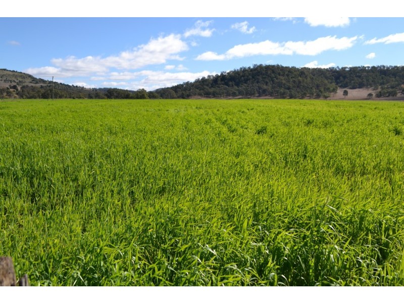 442 O’Connor Road, Haden QLD 4353