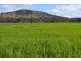 442 O’Connor Road, Haden QLD 4353