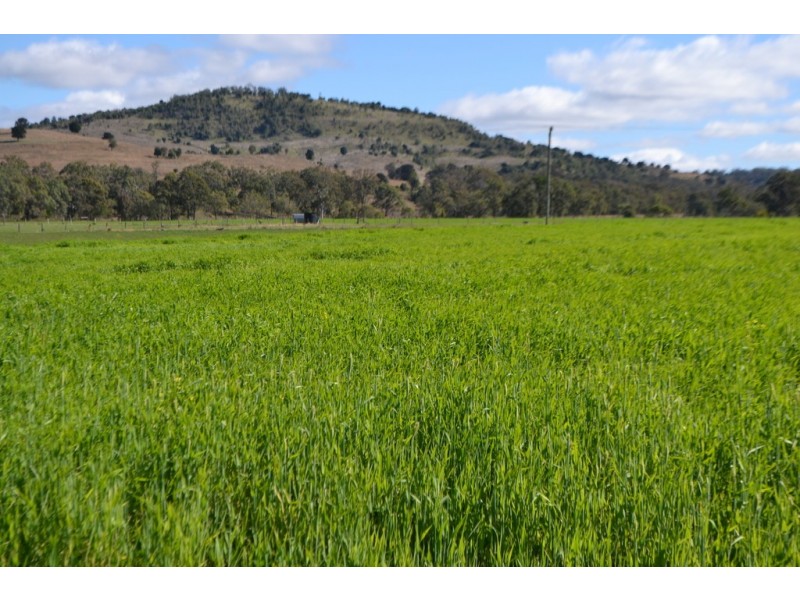 442 O’Connor Road, Haden QLD 4353