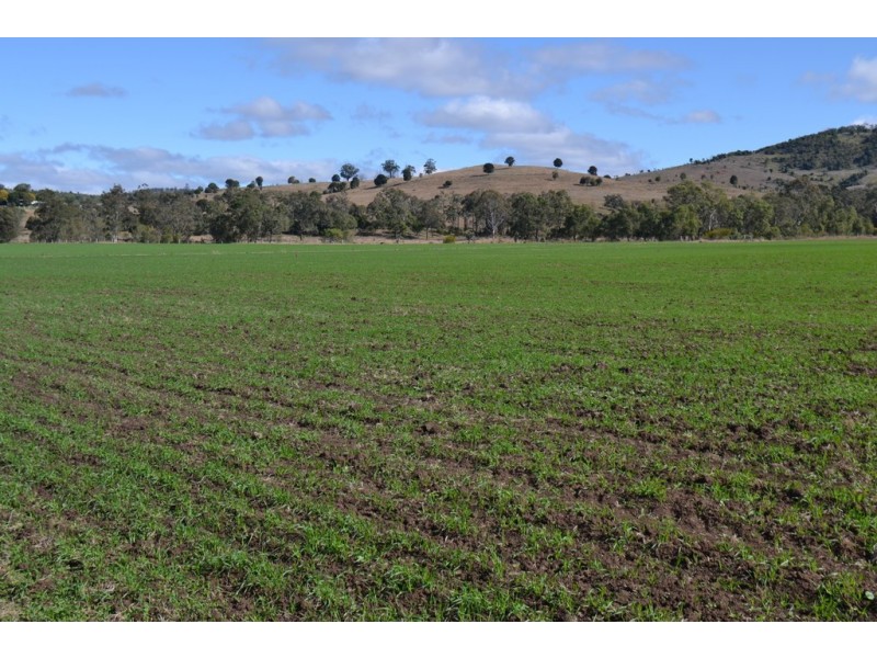 442 O’Connor Road, Haden QLD 4353