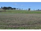 442 O’Connor Road, Haden QLD 4353