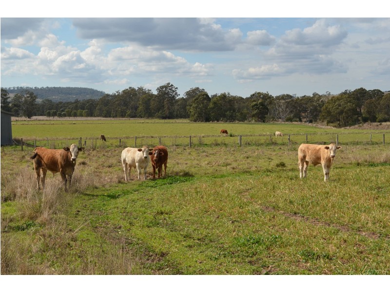 70 Thornville Range Road, Thornville QLD 4352