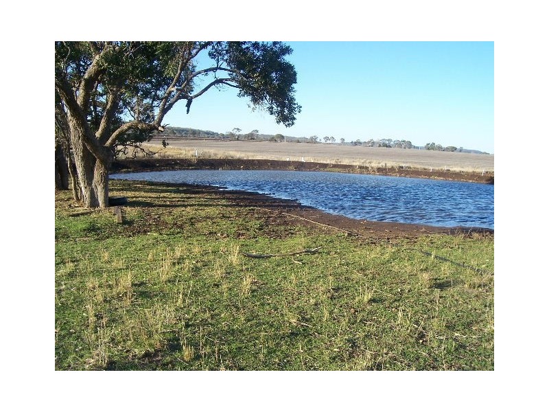 534 Doolan Road, Nobby QLD 4360