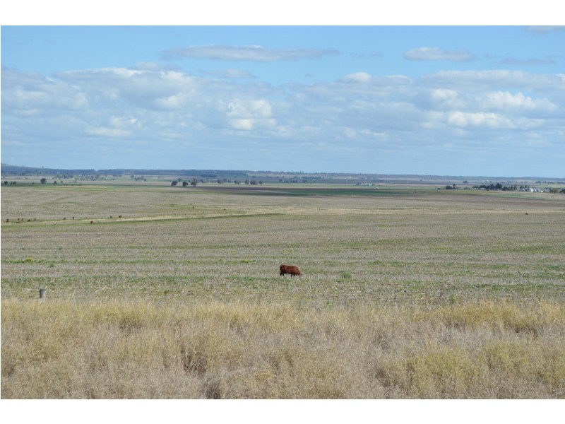 0 Carey Road, Nevilton QLD 4361