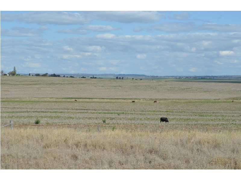 0 Carey Road, Nevilton QLD 4361