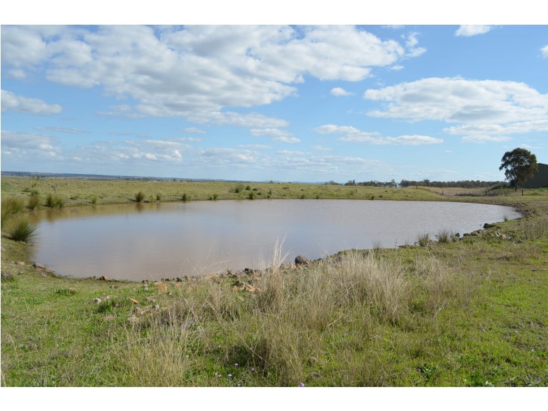 0 Carey Road, Nevilton QLD 4361