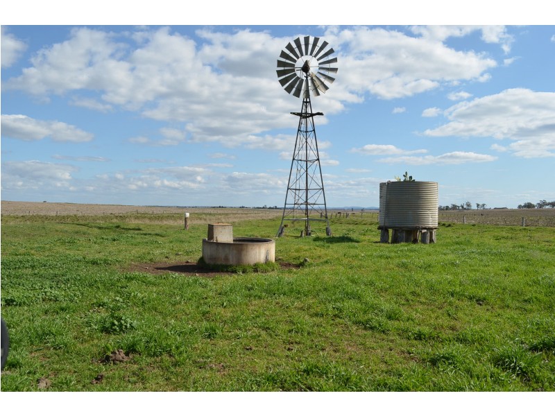 0 Carey Road, Nevilton QLD 4361