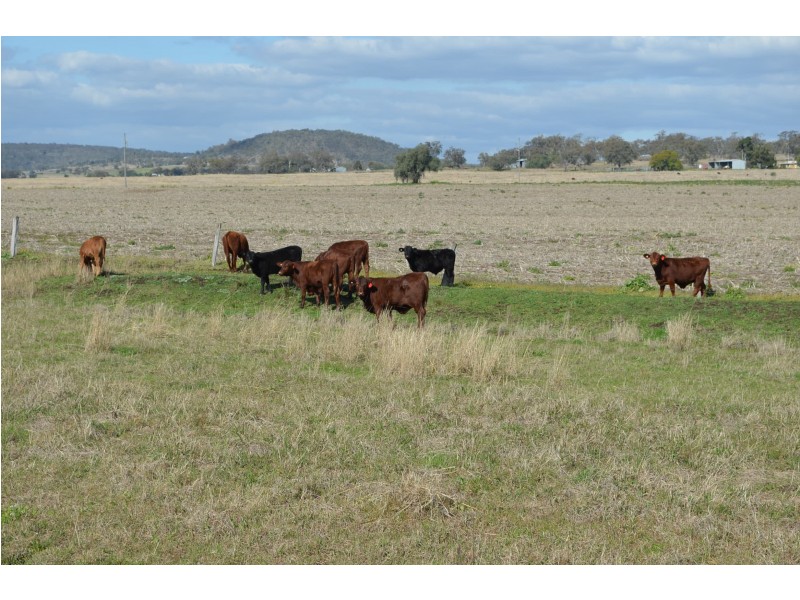 0 Carey Road, Nevilton QLD 4361