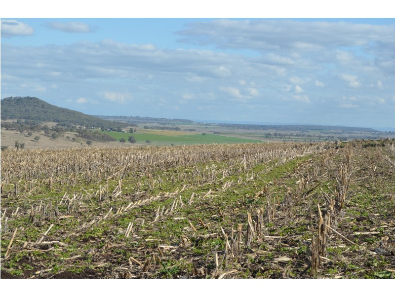 367 Baines Road, Headington Hill QLD 4361