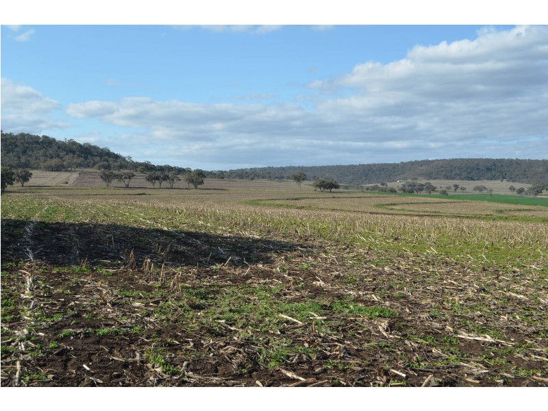 367 Baines Road, Headington Hill QLD 4361