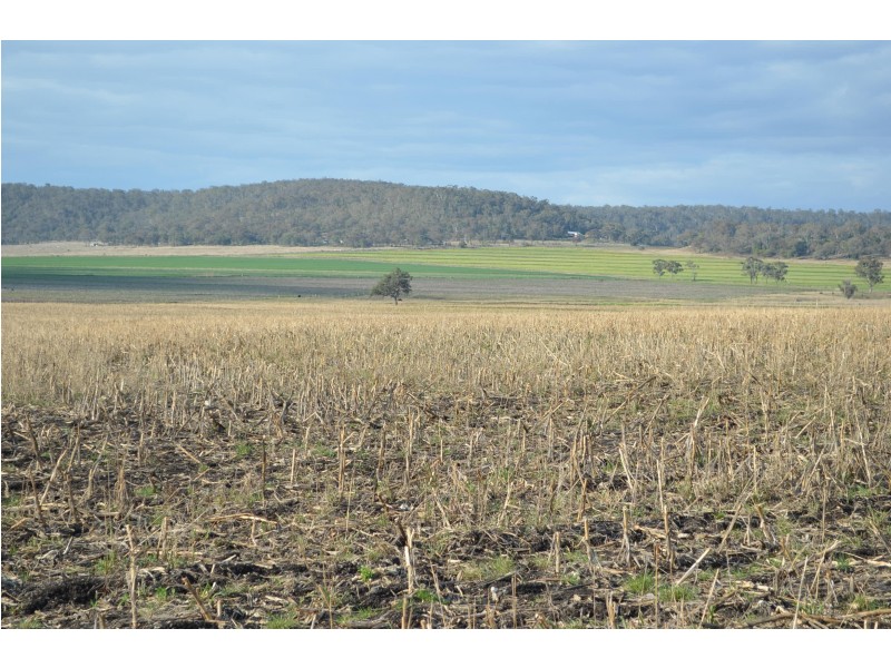 367 Baines Road, Headington Hill QLD 4361