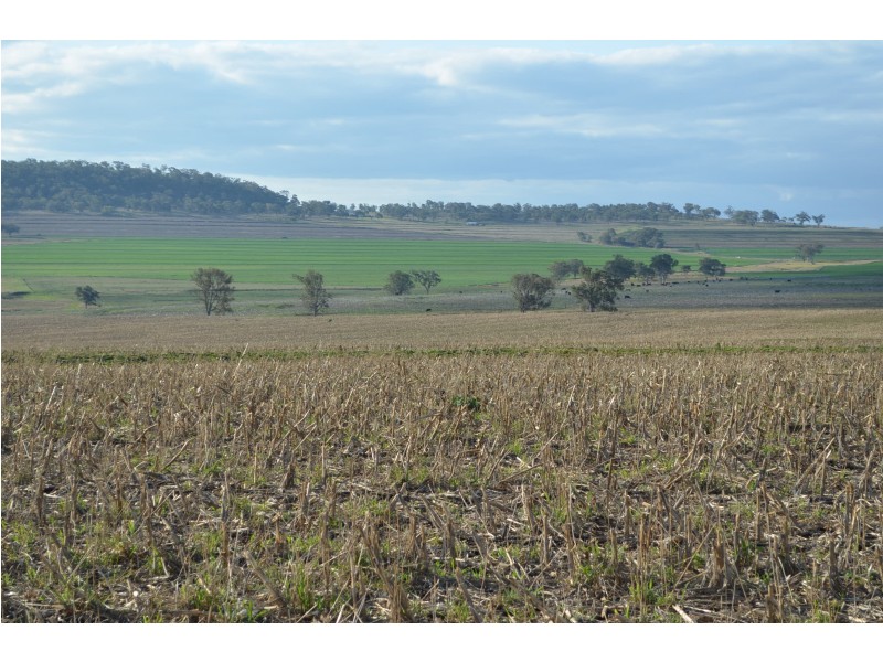 367 Baines Road, Headington Hill QLD 4361